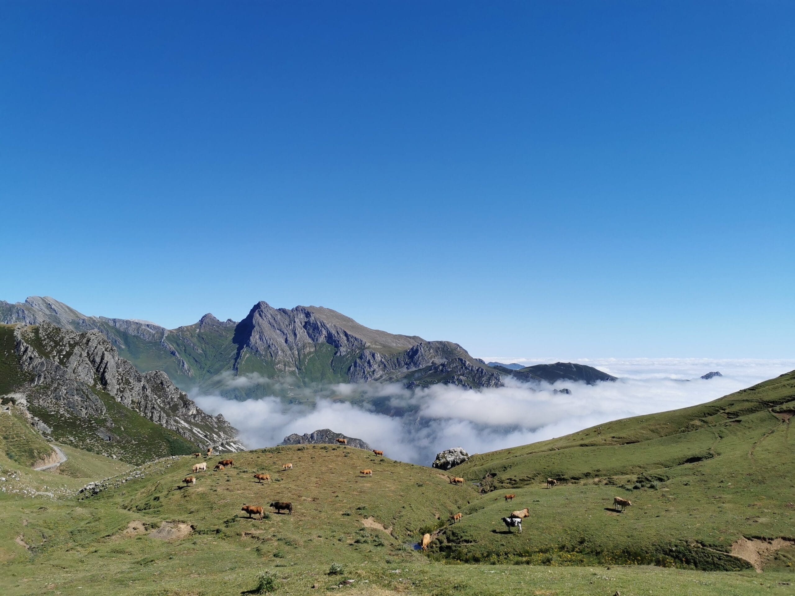 Paisaje de Mieres y la Montaña Central de Asturias.jpg
