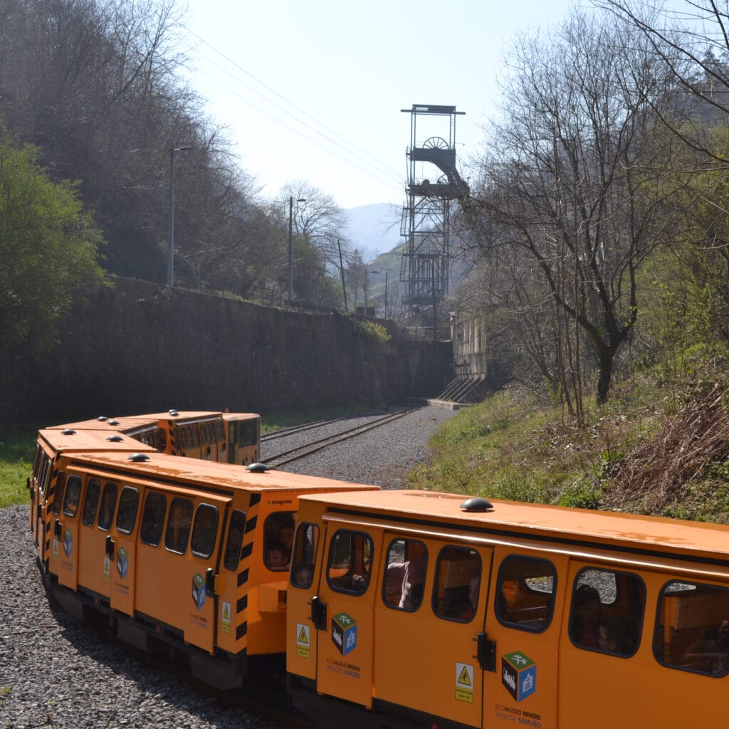tren minero
